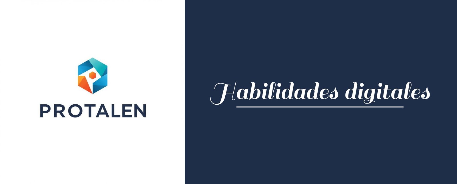 Habilidades digitales básicas